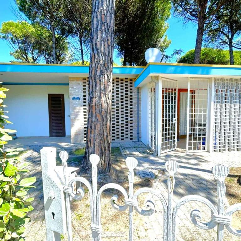 Apartment in Bibione 54729 - Apartment - 1