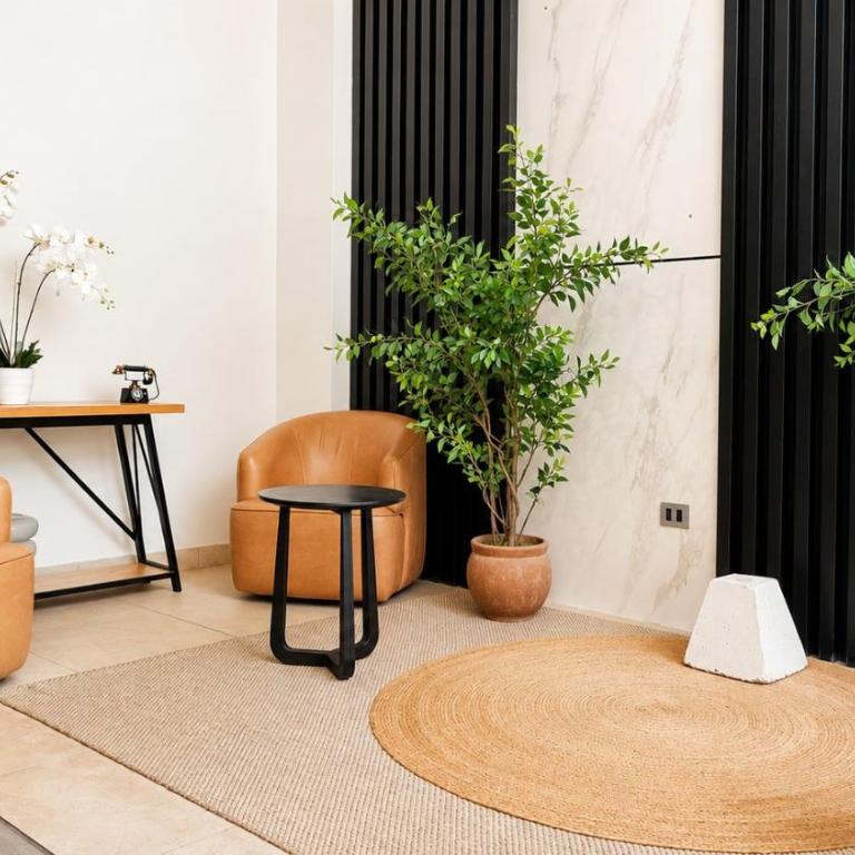 Santa Rosa 250 - Apartamento - 27
