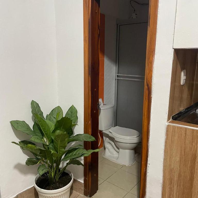 Descanso Urbano Pereira - One-Bedroom Apartment - 2