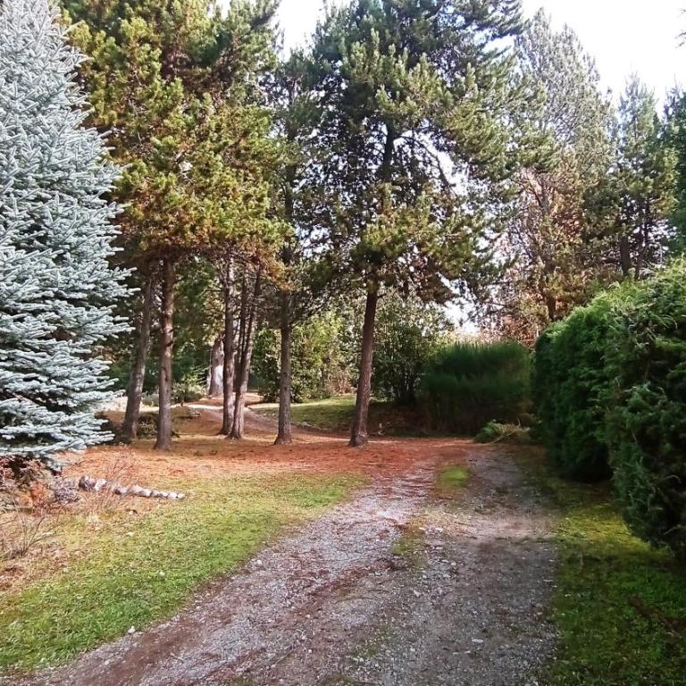 Cabañas El Refugio de Puelo - Two-Bedroom Bungalow - Yeuen - 33