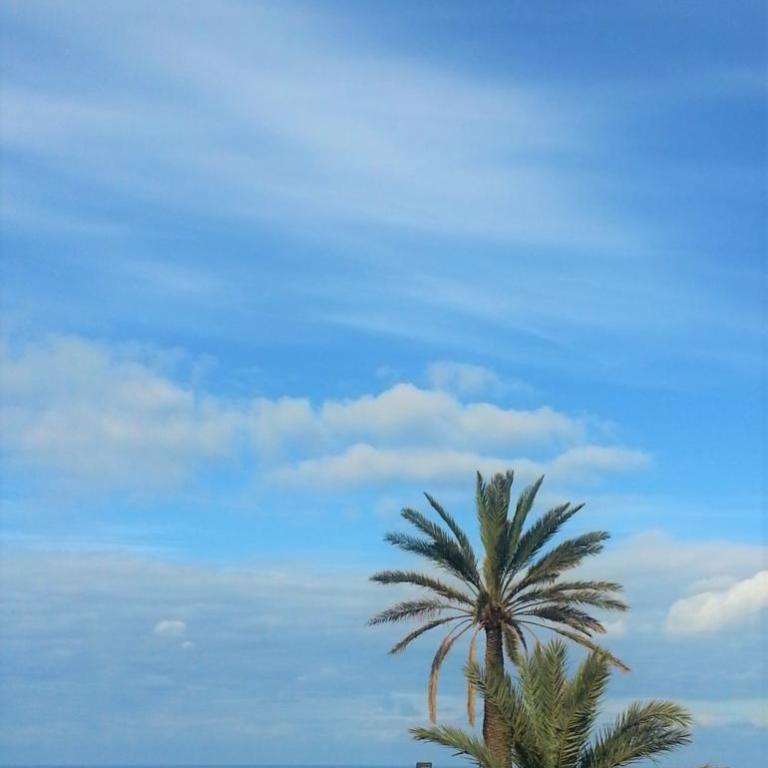 Le Luminarie - Creative Residence - Appartement - Vue sur Mer - 13