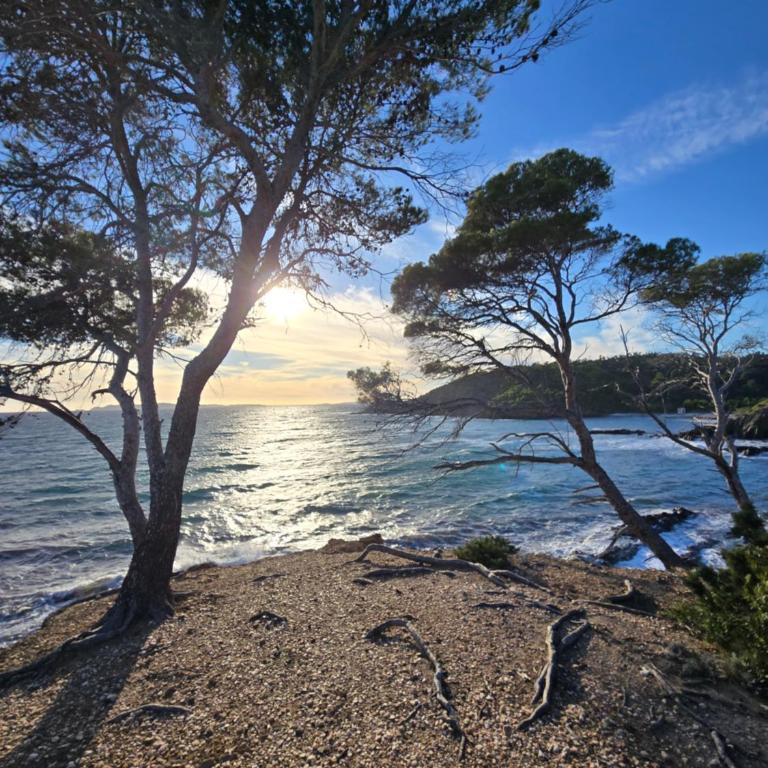 Appartement 4 personnes dans domaine privé, calme, plage - Appartamento con 1 Camera da Letto - 55