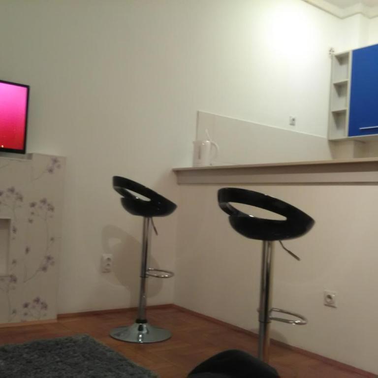 Apartman Aska - Apartman sa 1 Spavaćom Sobom - 5
