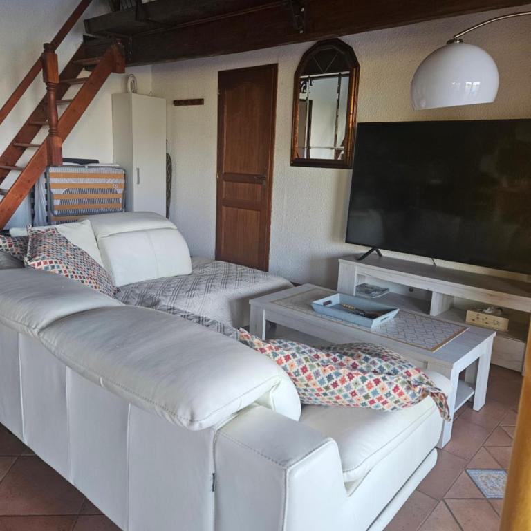 Mas Saint Jean - Casa con 2 Camere da Letto - 4