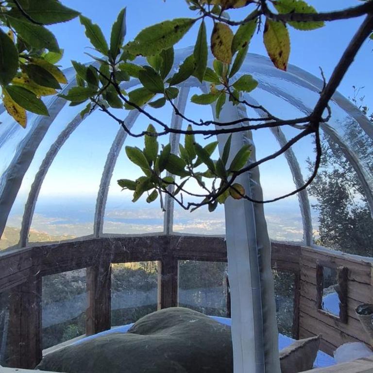 Cocoon Village - Zimmer mit Kingsize-Bett und Meerblick - 1