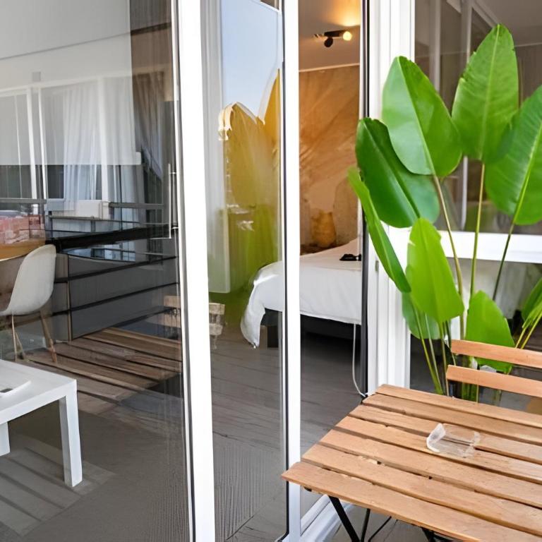 Santa Rosa 250 - Apartamento - 17