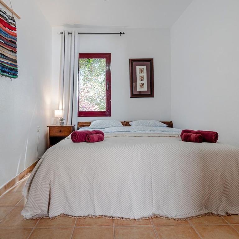 Casa Kiky, Boho-Chic Villa with Botanical Garden - Villa de 1 dormitorio - 15