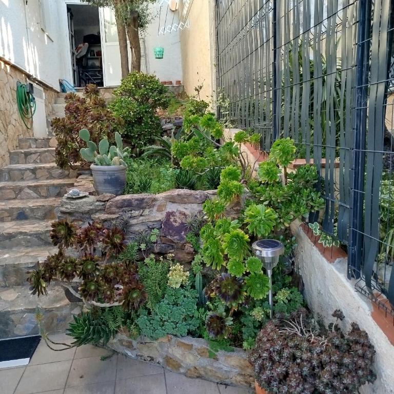 Appartement Mas Fumats Rosas - One-Bedroom Apartment - 4