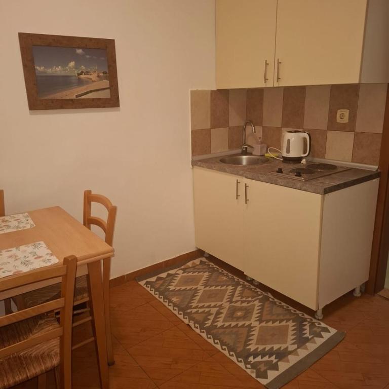 Apartments Tamara - Apartman s 1 Spavaćom Sobom, Balkonom i Pogledom na Grad (3 Odrasle Osobe) - 9