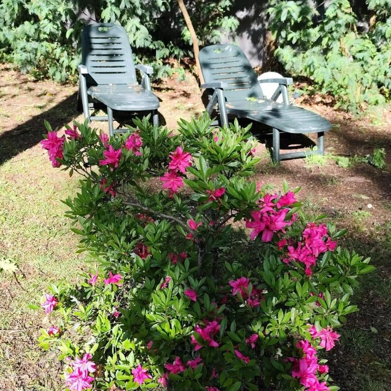 Maison avec jardin sur Andernos avec spa - Casa con 1 Camera da Letto - 9