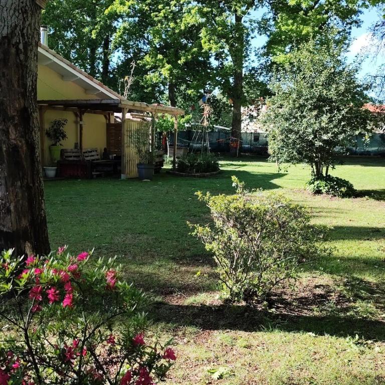 Maison avec jardin sur Andernos avec spa - Casa con 1 Camera da Letto - 2