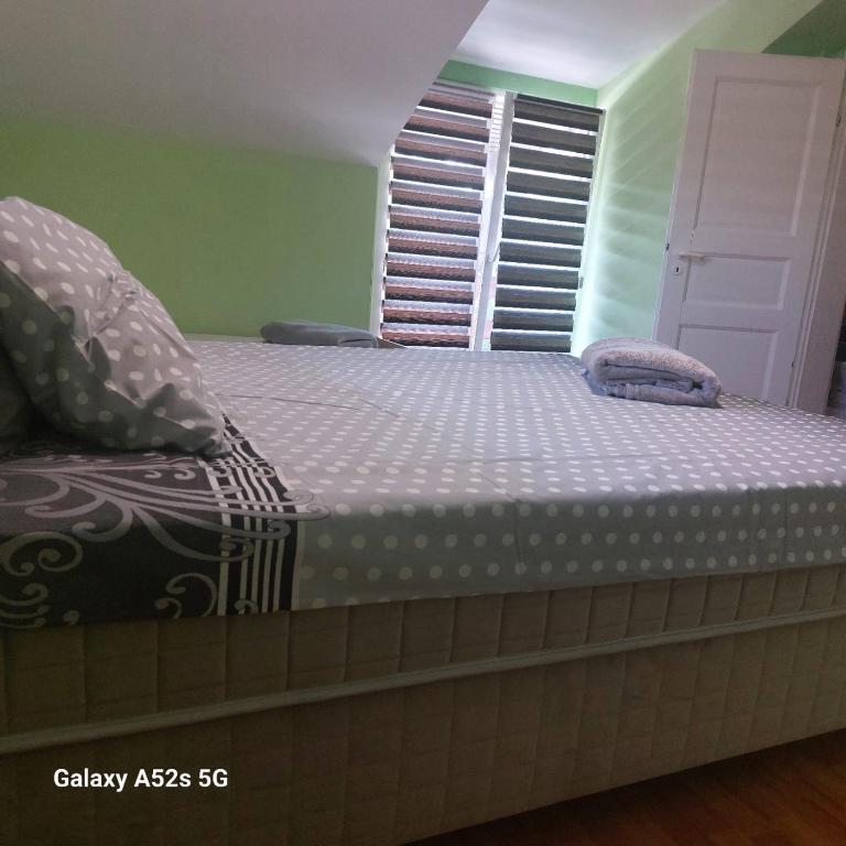 Pansion Panonika - Apartman sa 2 Spavaće Sobe - 9