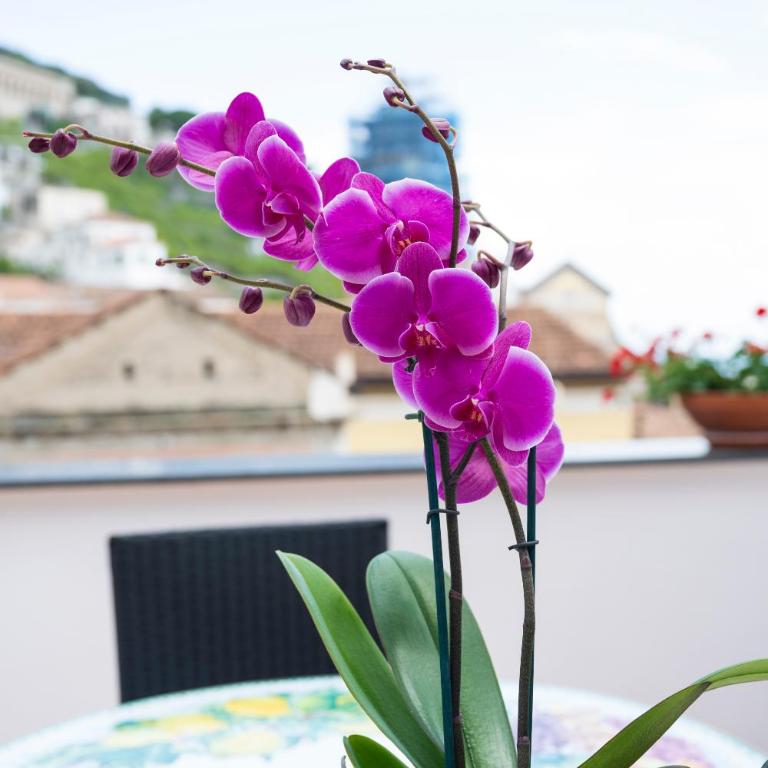 CASA ANNALU' in the historic center of Amalfi with 90 steps and sea view - Casa con 2 Camere da Letto - 7
