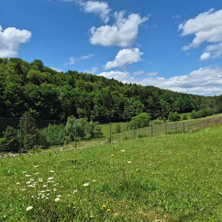 Das schöne Egg - Ferienhaus in der Südsteiermark - Haus mit 2 Schlafzimmern - 21