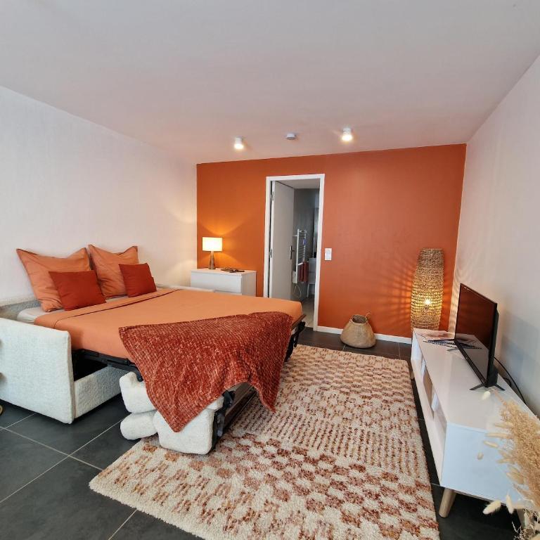 La Barroude - Appartamento Monolocale - 7