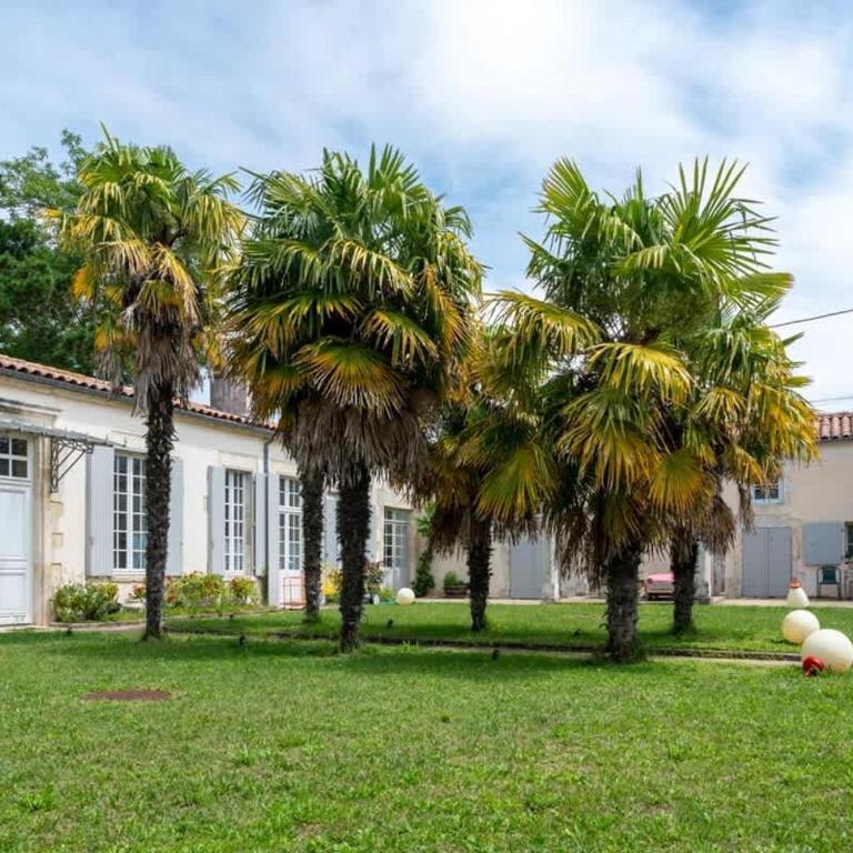 Calm & cosy close to the city center - Appartement - 15