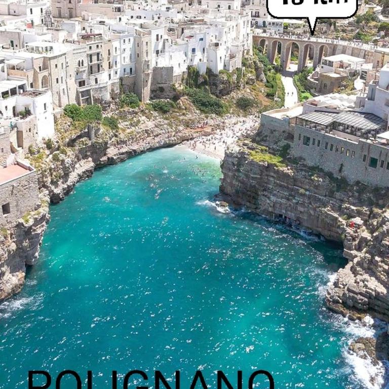 Elegante appartamento vicino al centro- OHANA - One-Bedroom Apartment - 7