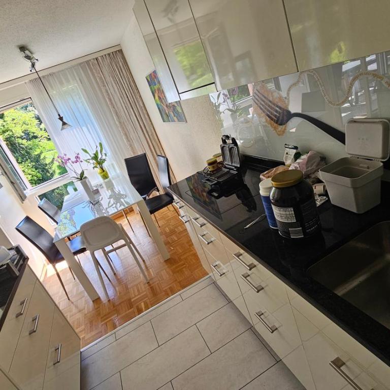 Premium Apartments - Pilatus View - AC - Apartment mit 2 Schlafzimmern und Bergblick - 13