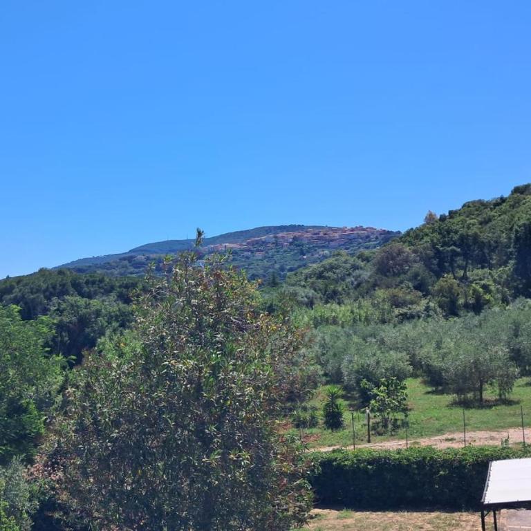 Appartamenti Cala Verde - Appartamento con 2 Camere da Letto - 11