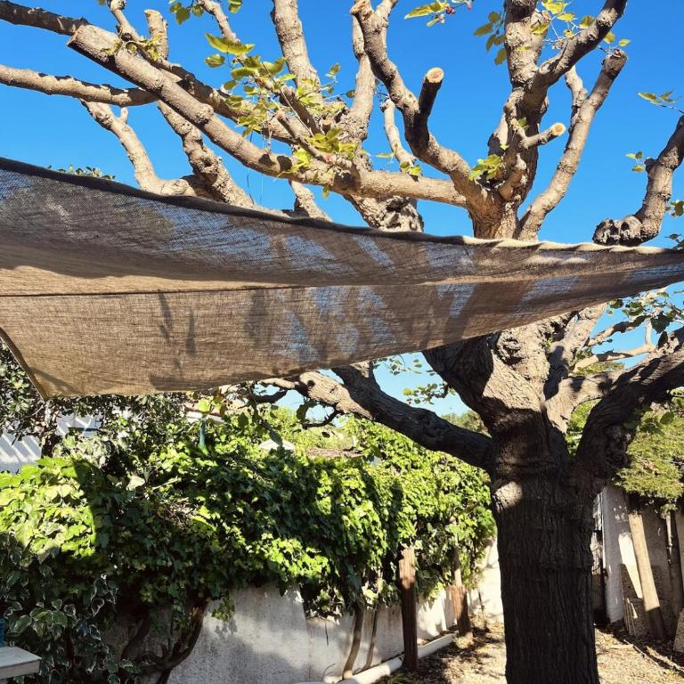 Kuh Kuh Kanta - PLAGE CLIM - Two-Bedroom House - 2