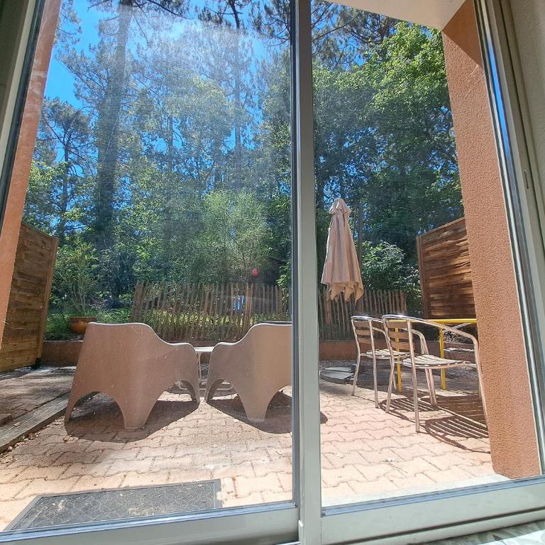 Gîte 4 personnes vue sur les pins proche de la Dune du Pilat, entre lac, Bassin et plages océanes - Maison 1 Chambre - 5