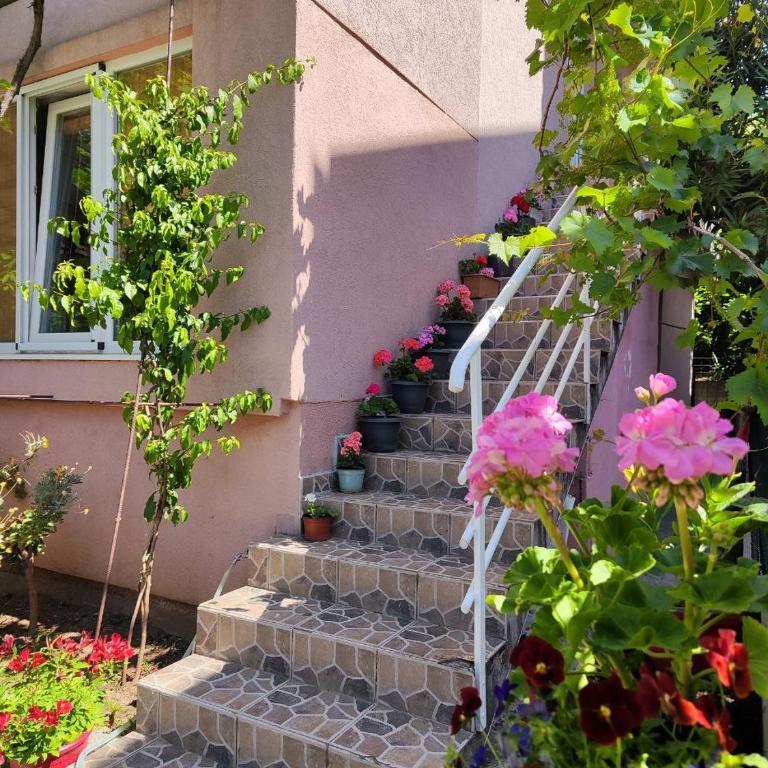 SutomoreLife Cozy Green Apartment - Appartement avec Balcon - 13