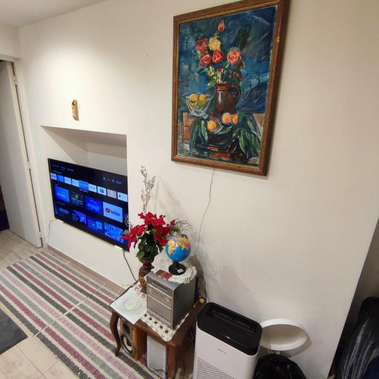 Belgrade apartment deluxe - Apartman sa 1 Spavaćom Sobom - 6