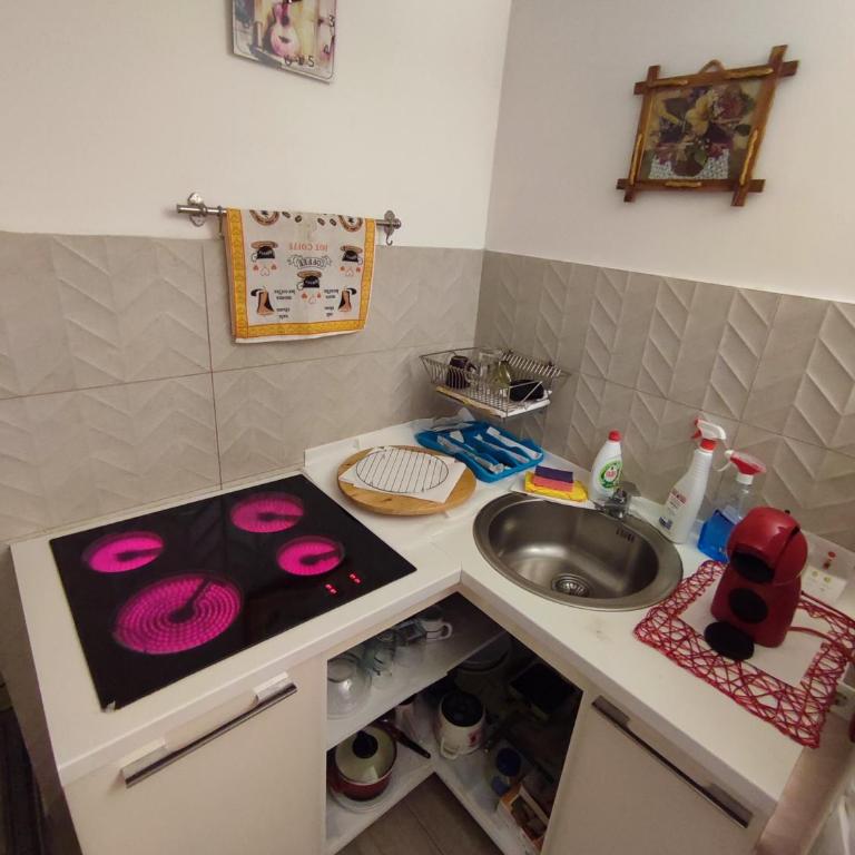 Belgrade apartment deluxe - Apartman sa 1 Spavaćom Sobom - 1