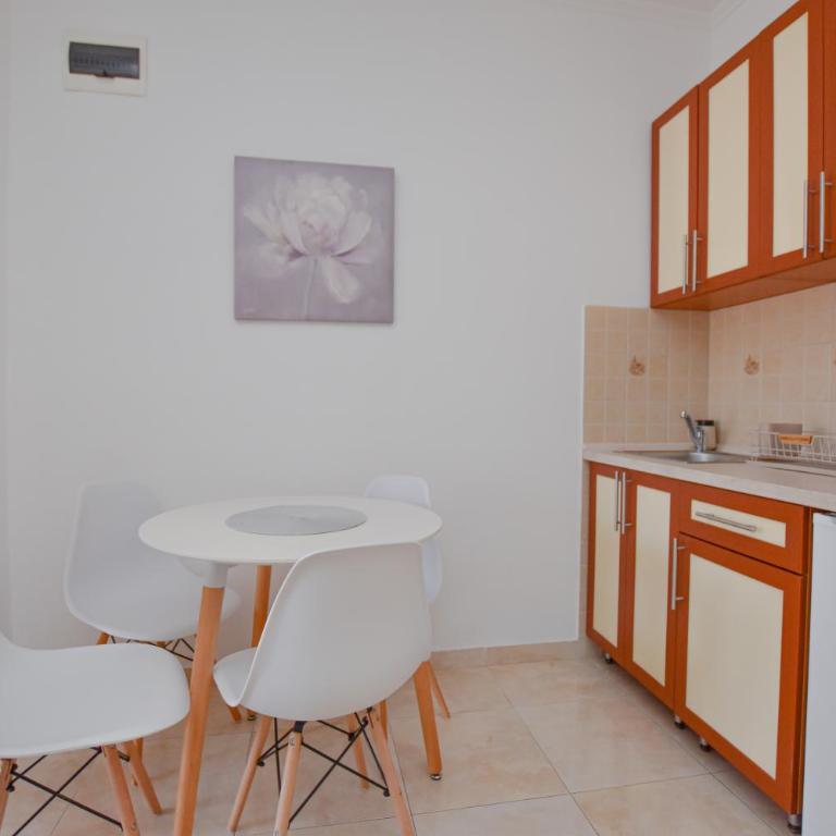 Vila Pavlović - One-Bedroom Apartment - 4