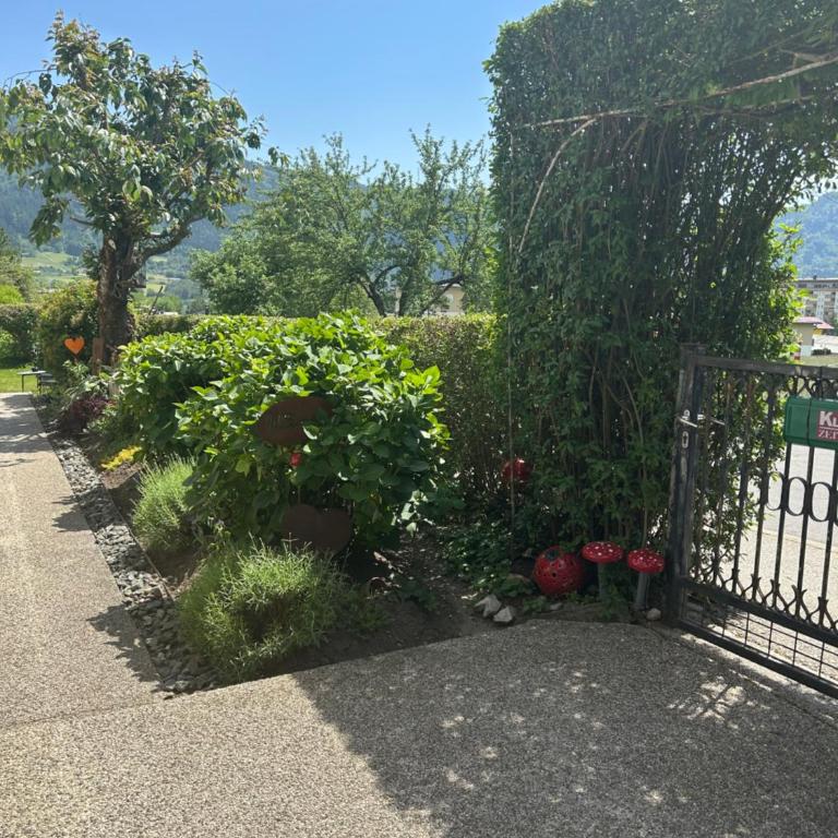 Appartement Stichauner - Apartment mit Seeblick - 29