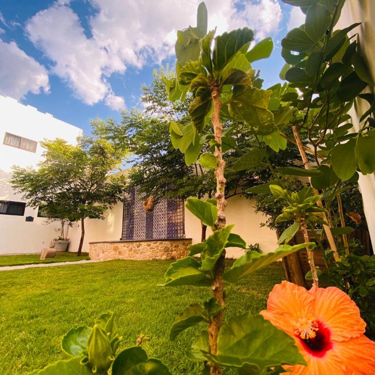 Castillo De La Santa Cruz-A - Business Double Room with Gym Access - 1