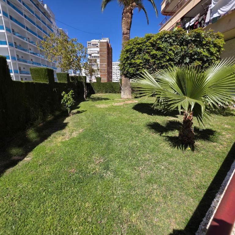 Apartamento Piscis 11 IF Inmobiliaria - One-Bedroom Apartment - 26