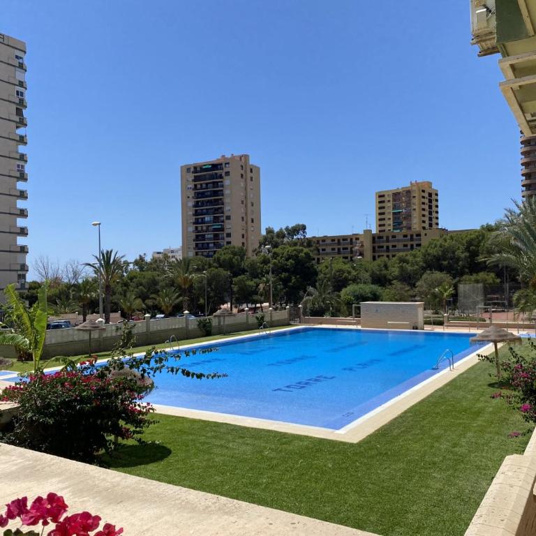 Estudio con increíbles vistas a la Playa + Piscina - Estudio con vistas al mar - 16