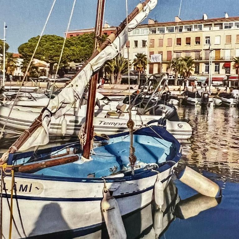 Villa BAGATELLE -APPART T2 DANS DOMAINE SÉCURISÉ - Haus mit 1 Schlafzimmer - 38