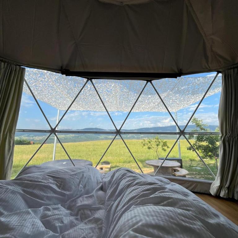 Glamping-Steiermark - Appartamento - 11