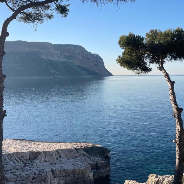 Chambre cosy avec terrasse arborée, Cassis, calme, parking, plage à 10 min - Chambre Double avec Terrasse - 7