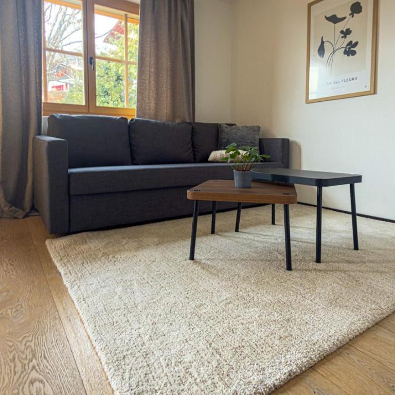 Les Elans - One-Bedroom Apartment with Terrace - 4