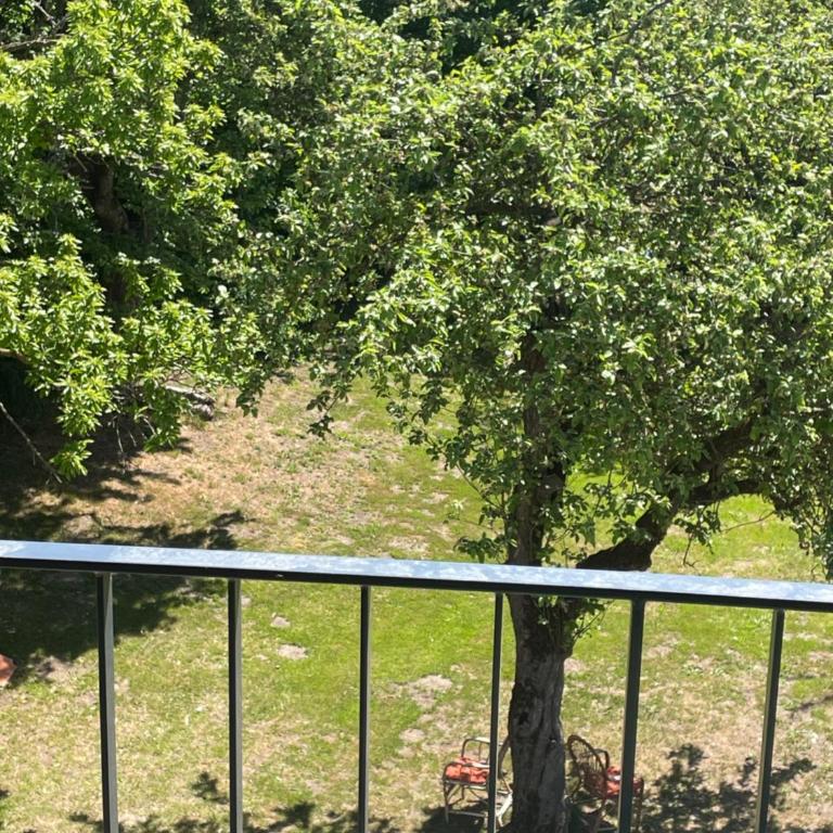 Pension Victoria - Apartment mit 2 Schlafzimmern - 27