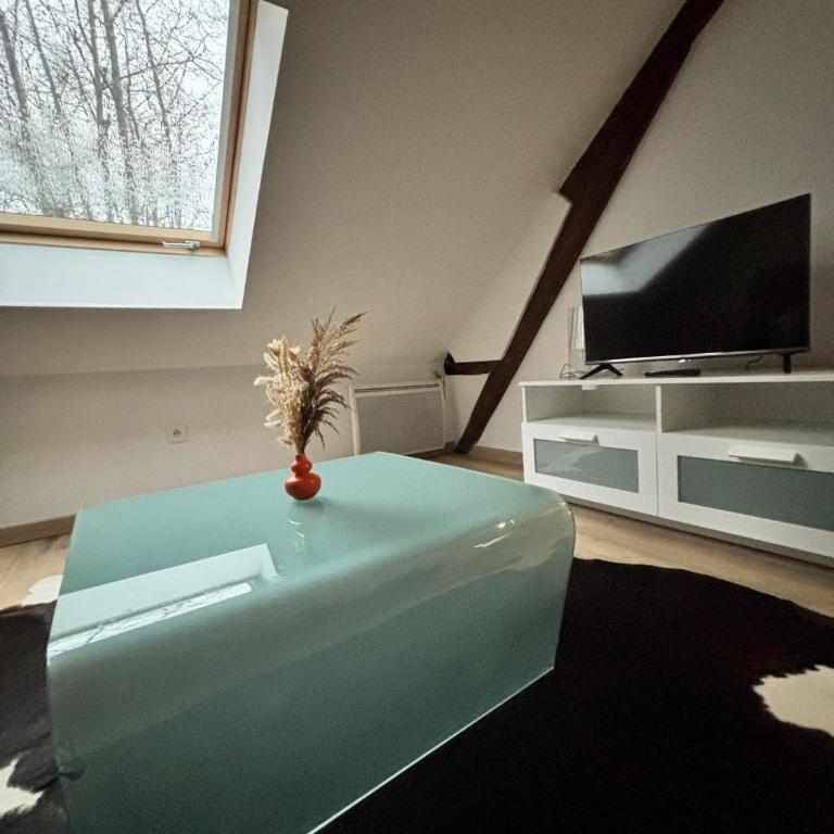 Appart cosy mansardé Dijon gare 1km animaux acceptés - Appartamento con 1 Camera da Letto - 1