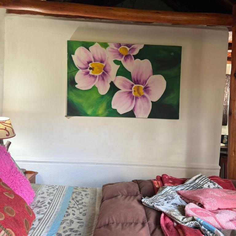 Cabaña en colón - Bungalow - 8
