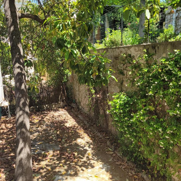 Les Lilas - Appartement 1 Chambre - 9