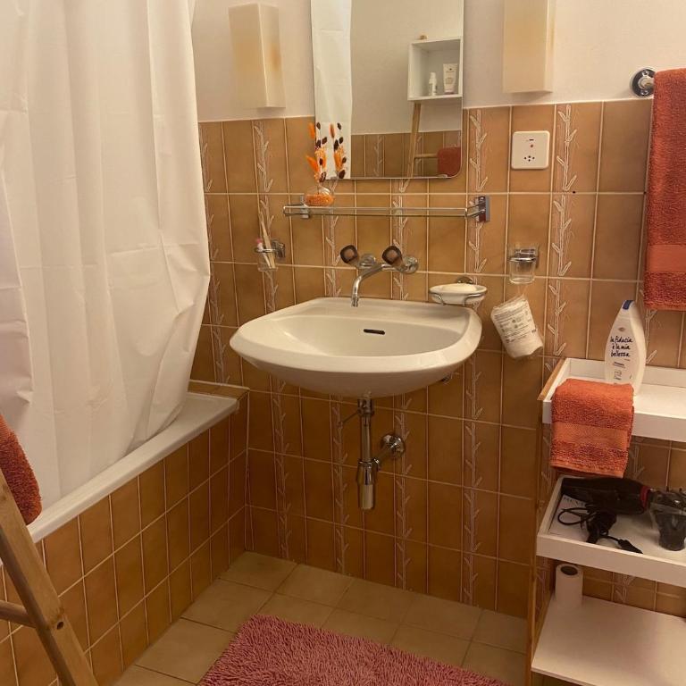 Studio avec vue sur le Château d'Aigle - Apartment mit 1 Schlafzimmer - 4