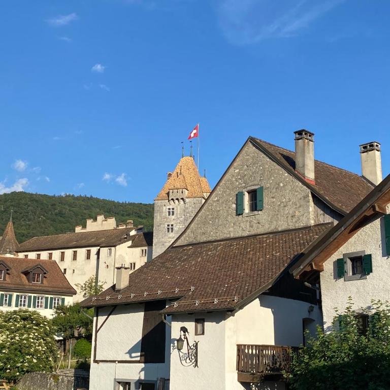 Studio avec vue sur le Château d'Aigle - Apartment mit 1 Schlafzimmer - 1