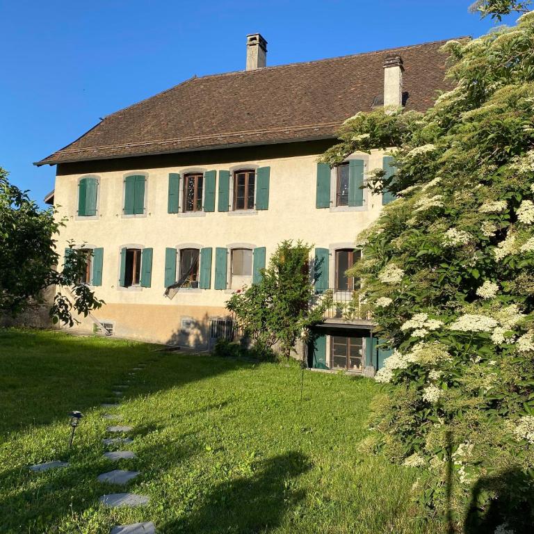 Studio avec vue sur le Château d'Aigle - Apartment mit 1 Schlafzimmer - 10