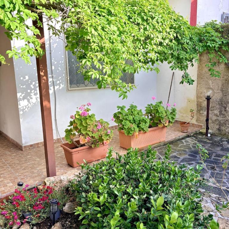 Villa Naomi - Casa con 2 Camere da Letto - 20