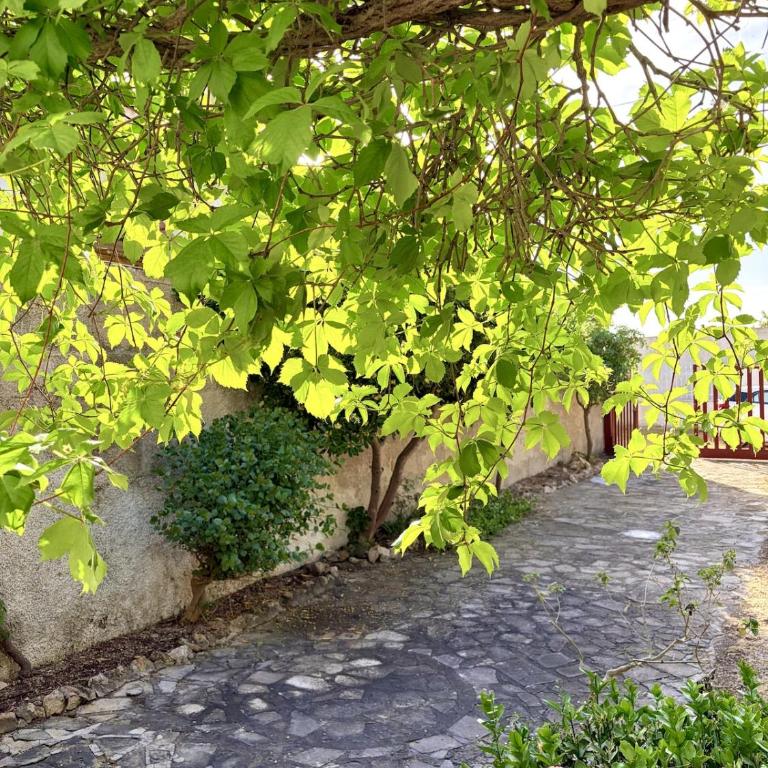 Villa Naomi - Casa con 2 Camere da Letto - 23
