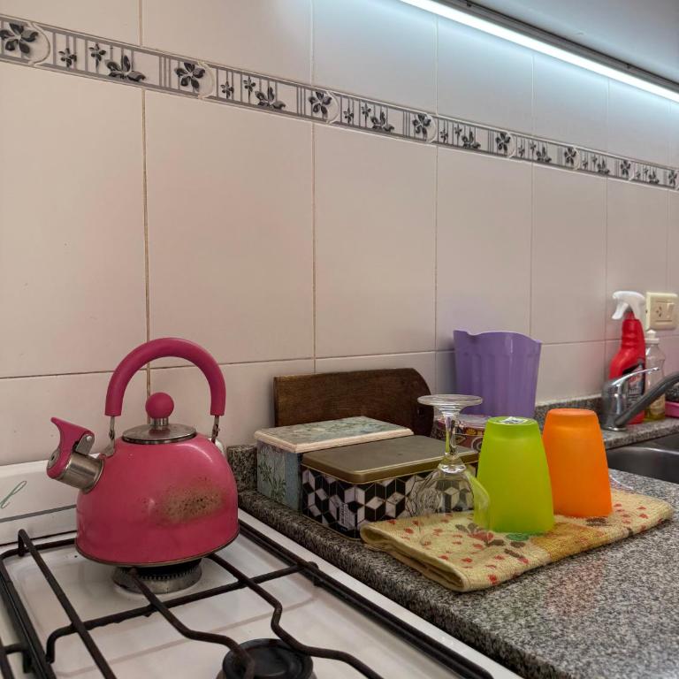 Dpto Cómodo con Vista al Rio - Apartamento de 1 dormitorio - 30