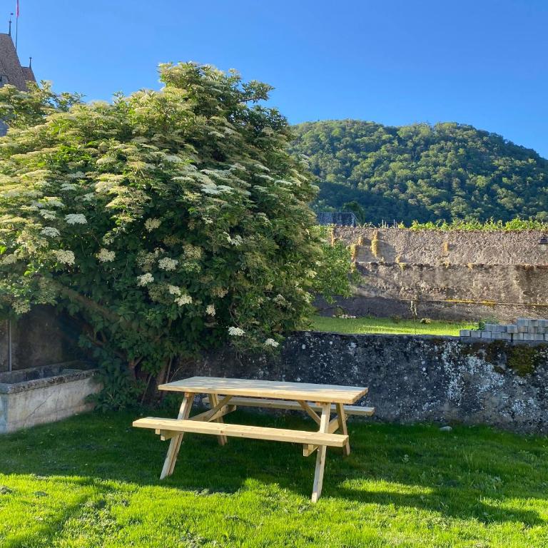 Studio avec vue sur le Château d'Aigle - Apartment mit 1 Schlafzimmer - 12