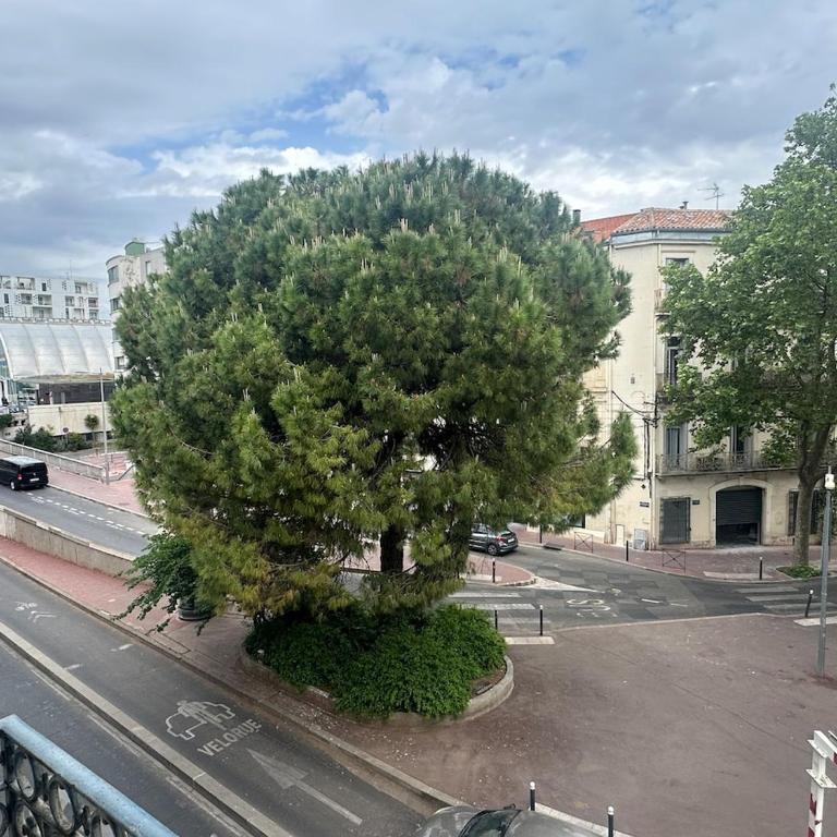 Grand T3 cosy - Hyper centre, gare et tram à 2 min - Apartamento de 2 dormitorios - 10