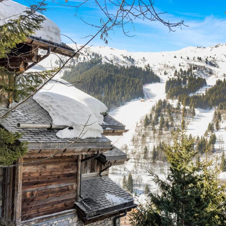 Chalet Panicaut - Pied des pistes - 10 personnes - Chalet - 46